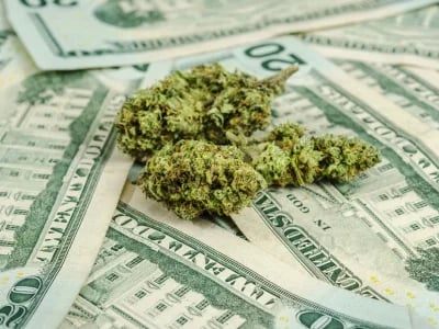 Buy Weed Online Ireland – THC CBD Flowers, Oils & Cannabis Tinctures