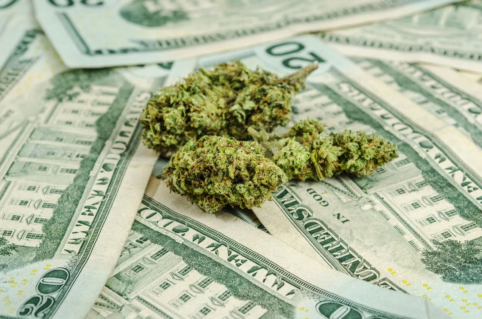 Buy Weed Online Ireland – THC CBD Flowers, Oils & Cannabis Tinctures